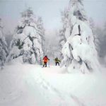 スノーシューで根子岳登山