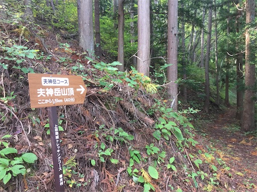 青木村夫神岳バーティカル