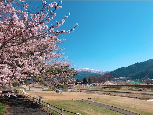 お花見ラン