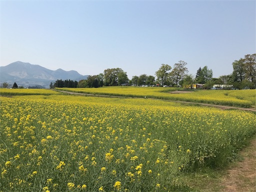 野沢温泉菜の花パノラママーチ２日目