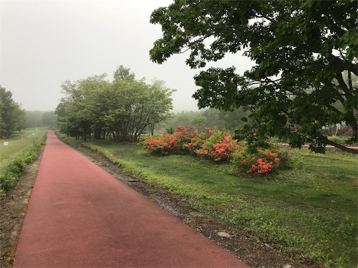 クロカンコースで朝練