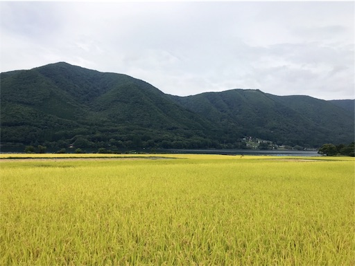 木崎湖2周ラン