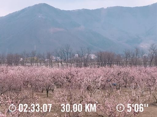 千曲ラン（30km走）