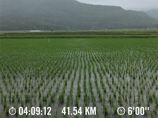 小川村まで遠足41km