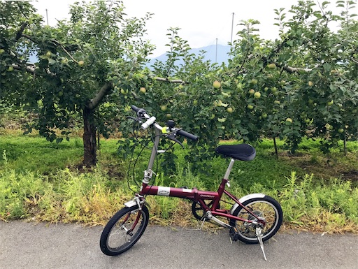 スポーツ自転車レンタル&カフェ maaru(まある)