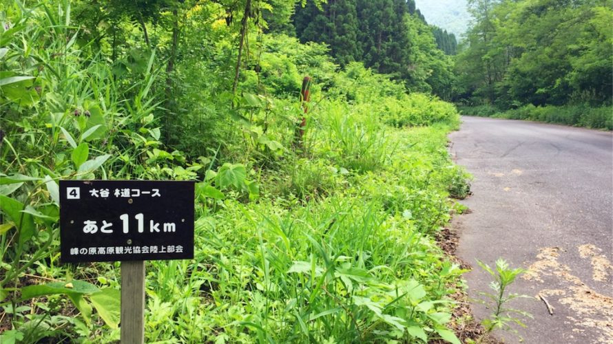 「大谷林道」ヒルクライムラン　