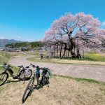 ＼小布施発Eバイクツアー／高山＆須坂、10大桜巡り
