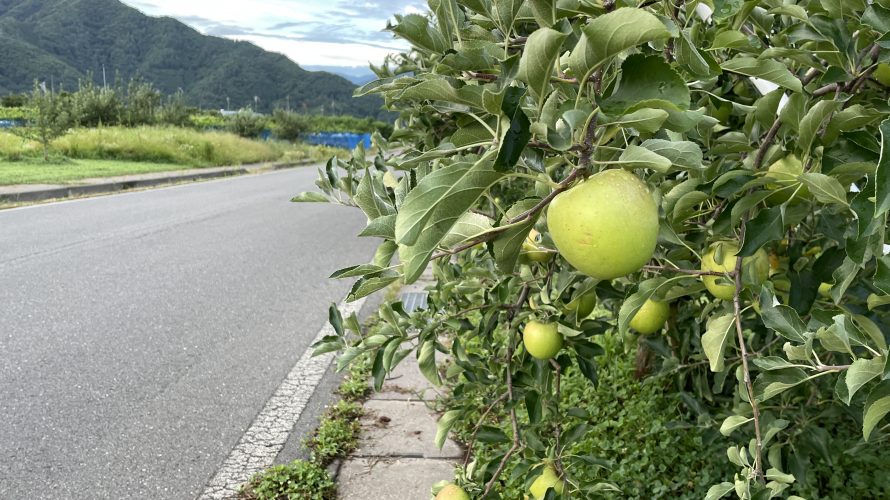 ぼっち宮島塾【練習】