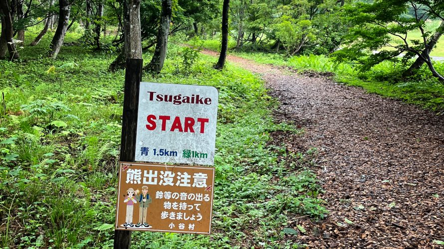 小谷村「栂池ウッドチップロード」