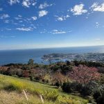 東伊豆町クロスカントリーコース【旅ラン】