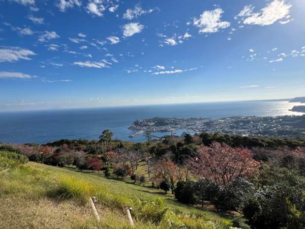 東伊豆町クロスカントリーコース【旅ラン】