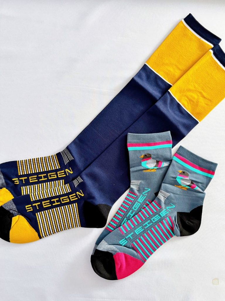 STEIGENソックス