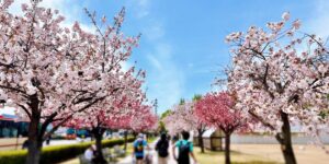 長野マラソン2026